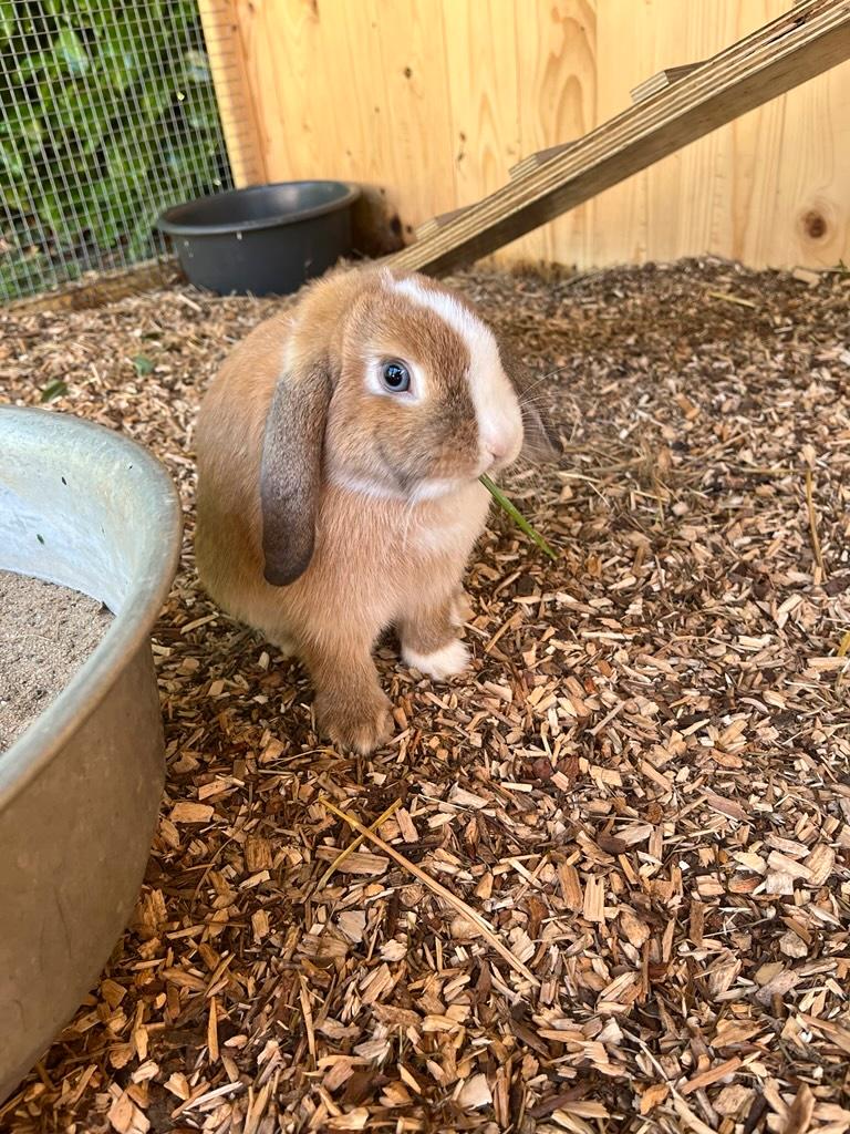 ek-yams-d46c84d07ad44a5c986d51781dd70f9d-57E9940E-79F6-4EB8-8C76-44194D0AB2C4 (1) ek-yams-d46c84d07ad44a5c986d51781dd70f9d-57E9940E-79F6-4EB8-8C76-44194D0AB2C4 (1)